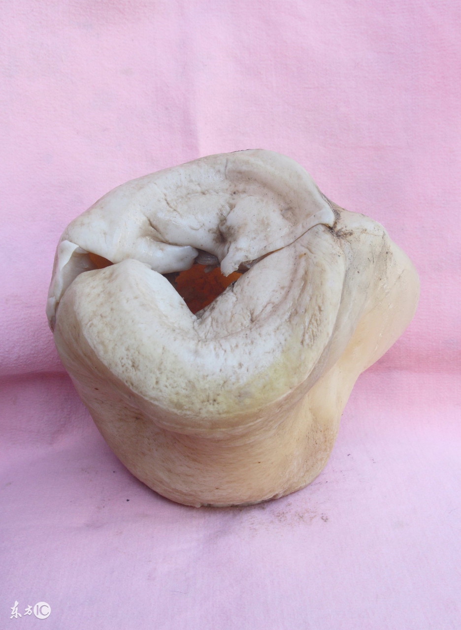 33个字提到4种怪物，让中国人讨论千年无定论，究竟是啥？