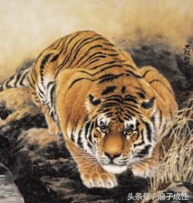 十二生肖文化国内外研究现状,十二生肖文化普及宣传央视