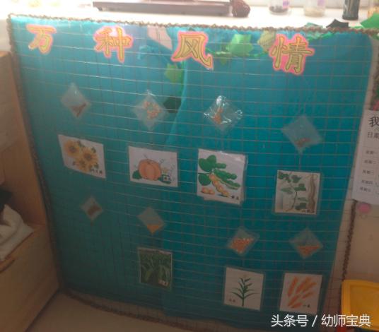 大班区角环境创设进区卡,幼儿园大班主题墙创设指导分享ppt