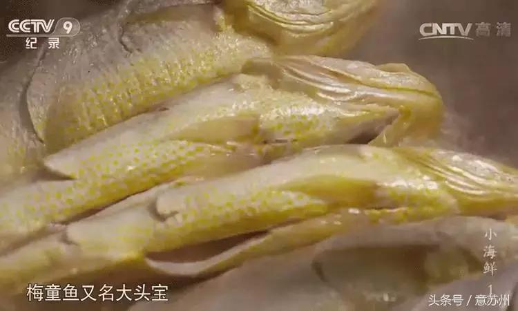 舌尖上的中国之麻辣小海鲜,舌尖上的中国小海鲜