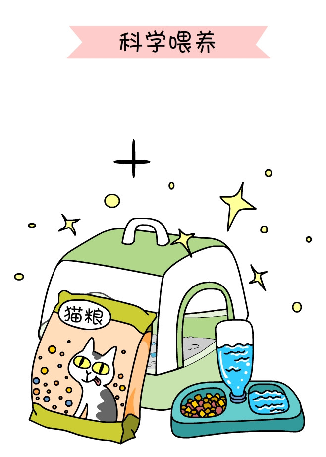 关于一个铲屎官和四只猫的漫画,铲屎官照顾猫的漫画