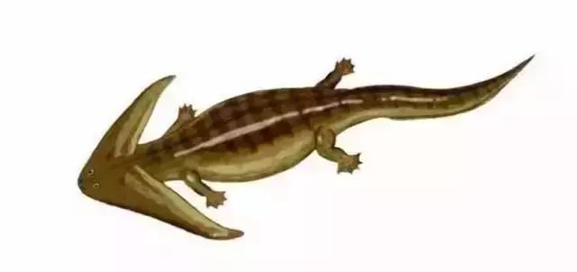 在宇宙的年历中，我们的存在连半秒钟都不到！