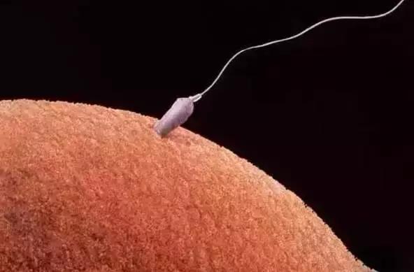 在宇宙的年历中，我们的存在连半秒钟都不到！