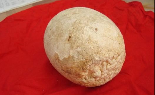 农村有一样宝贝价值很高,农村最有价值的宝贝