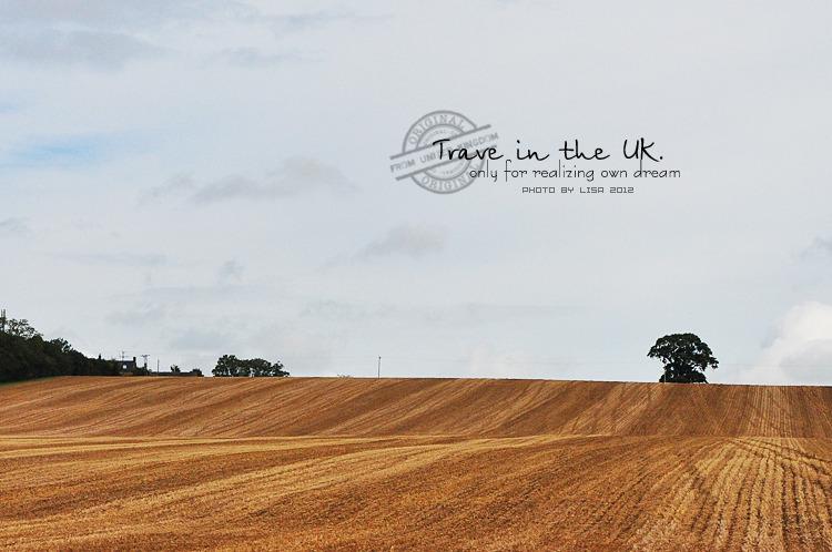 曼彻斯特老特拉福德球场航拍,曼彻斯特老特拉福德球场