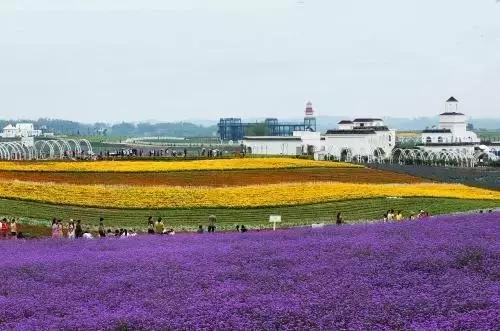 许昌花博会好玩吗,许昌花博园景观