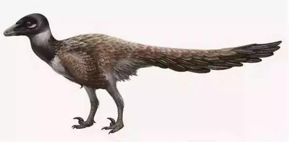 在宇宙的年历中，我们的存在连半秒钟都不到！