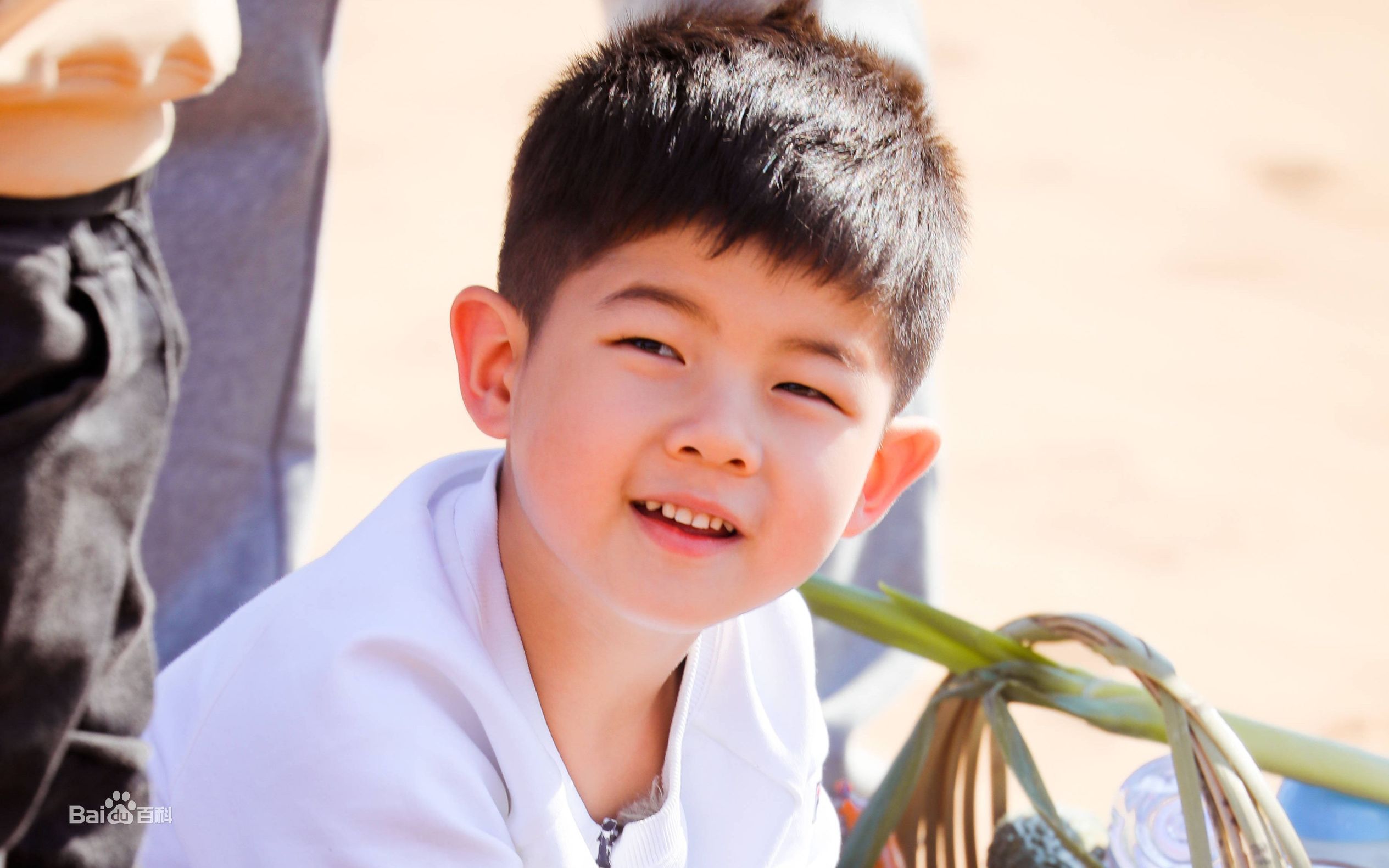 开学季｜校园又冒出多少高颜值的新生，学校门卫可以卖票参观啦