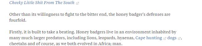 动物世界平头哥狼獾高清,狼獾和平头哥搏斗视频