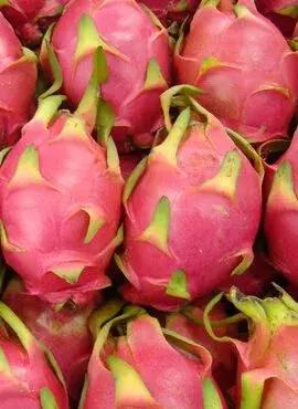 火龙果的功效与作用减肥,火龙果的功效与作用到底是什么