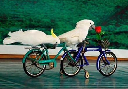 最新的科普五个有趣的冷知识,最奇葩的冷门知识大全