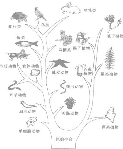 老赖？懒婆娘？如果你是编剧，你会怎样改编牛郎织女的故事？