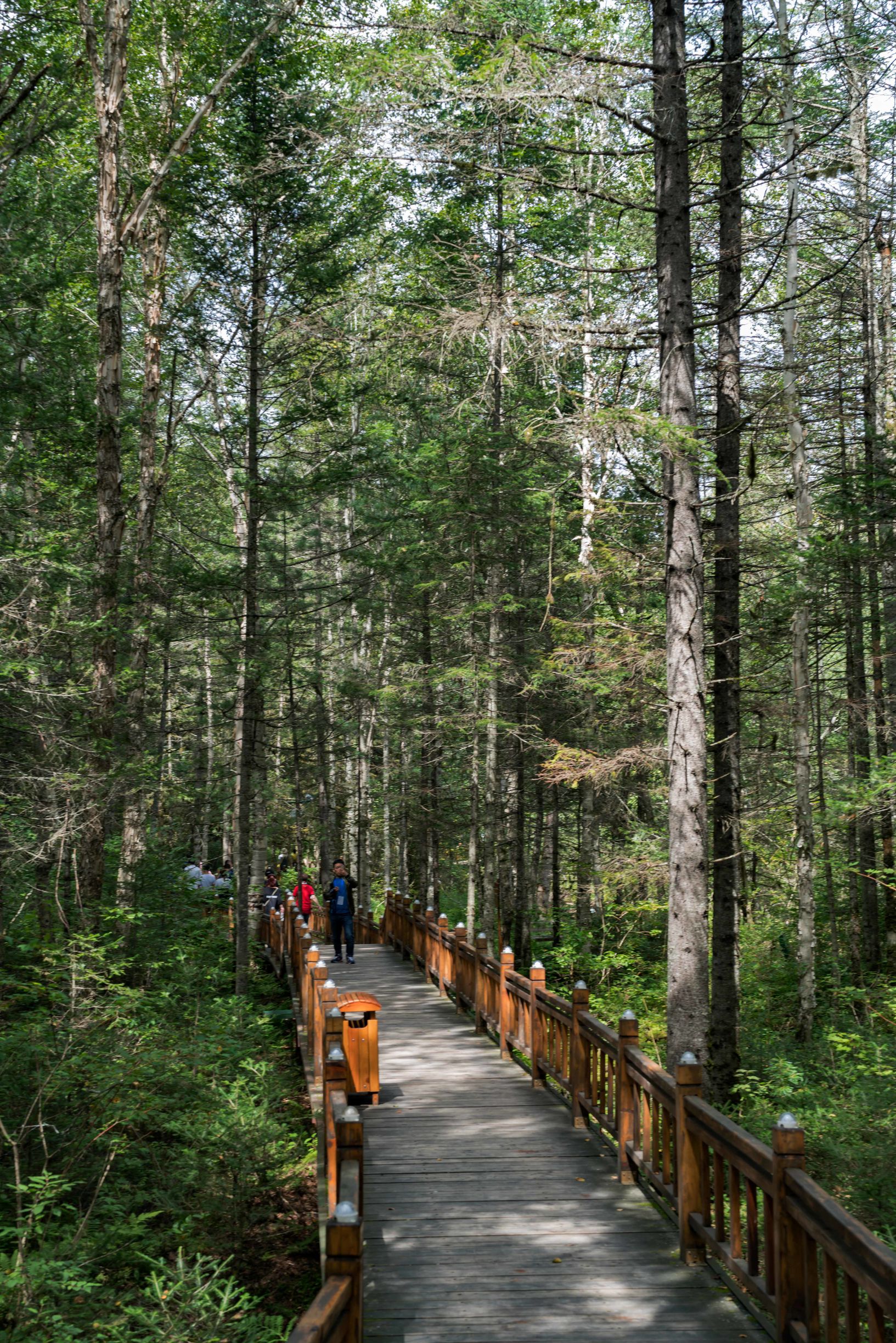 黑龙江自驾游美食攻略,黑龙江环线自驾游攻略