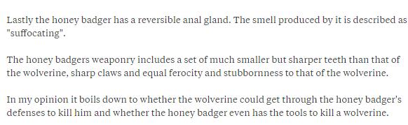 动物世界平头哥狼獾高清,狼獾和平头哥搏斗视频