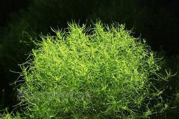 湿疹的根源在哪里怎样才能根治,湿疹怎么治疗不留后遗症