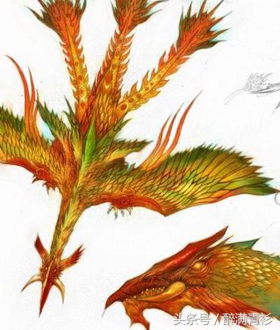 古代神兽大全排名,四象对应方位和神兽