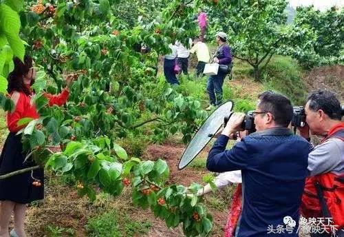 河南二十四节气完整版,二十四节气河南文旅
