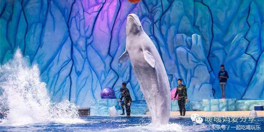 珠海长隆企鹅酒店攻略亲子游,长隆攻略亲子游三天住什么酒店