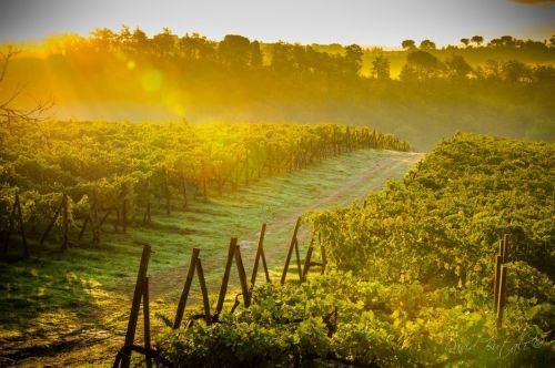 心情不好想发个朋友圈配图,下雪天心情不好发朋友圈的句子