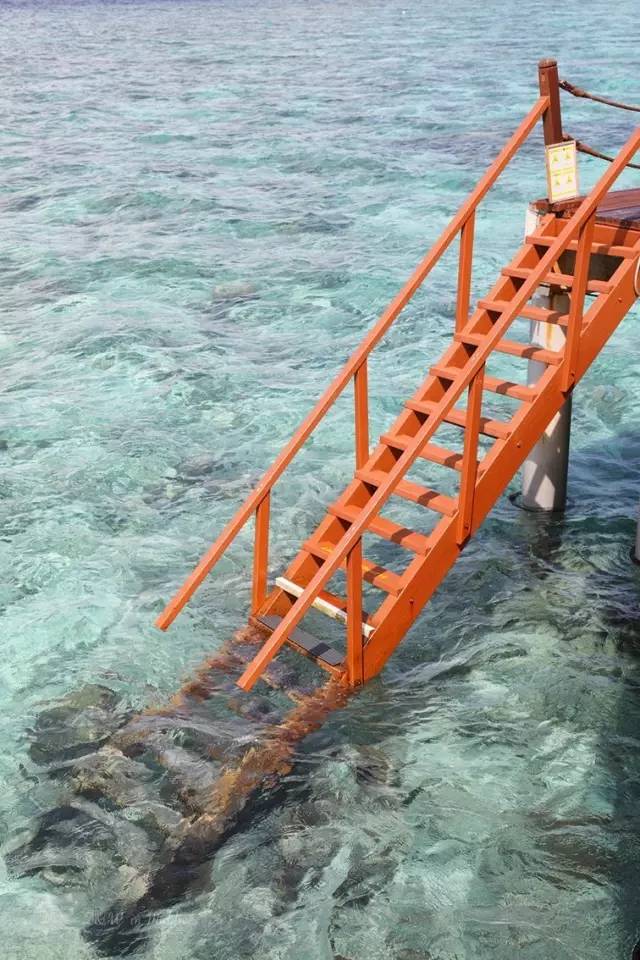 马尔代夫真的值得去吗,去马尔代夫的真实感受