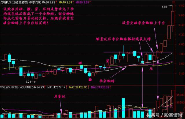 均线金蜘蛛炒股技巧,均线金蜘蛛战法