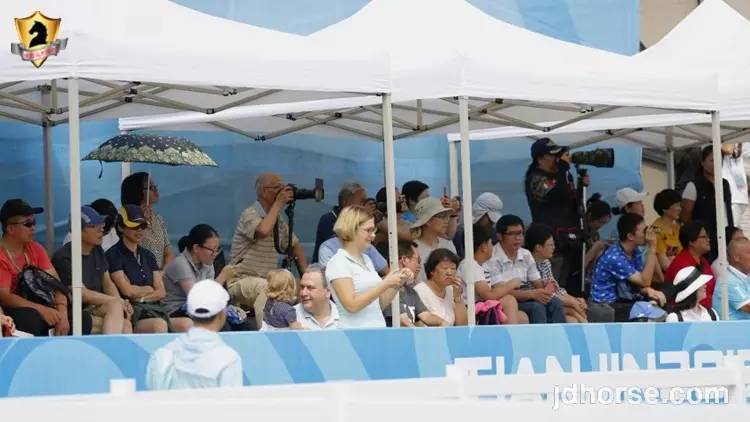 全运会马术盛装舞步个人决赛赛况,14届全运会盛装舞步