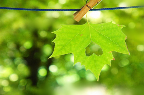 心情不好想发个朋友圈配图,下雪天心情不好发朋友圈的句子