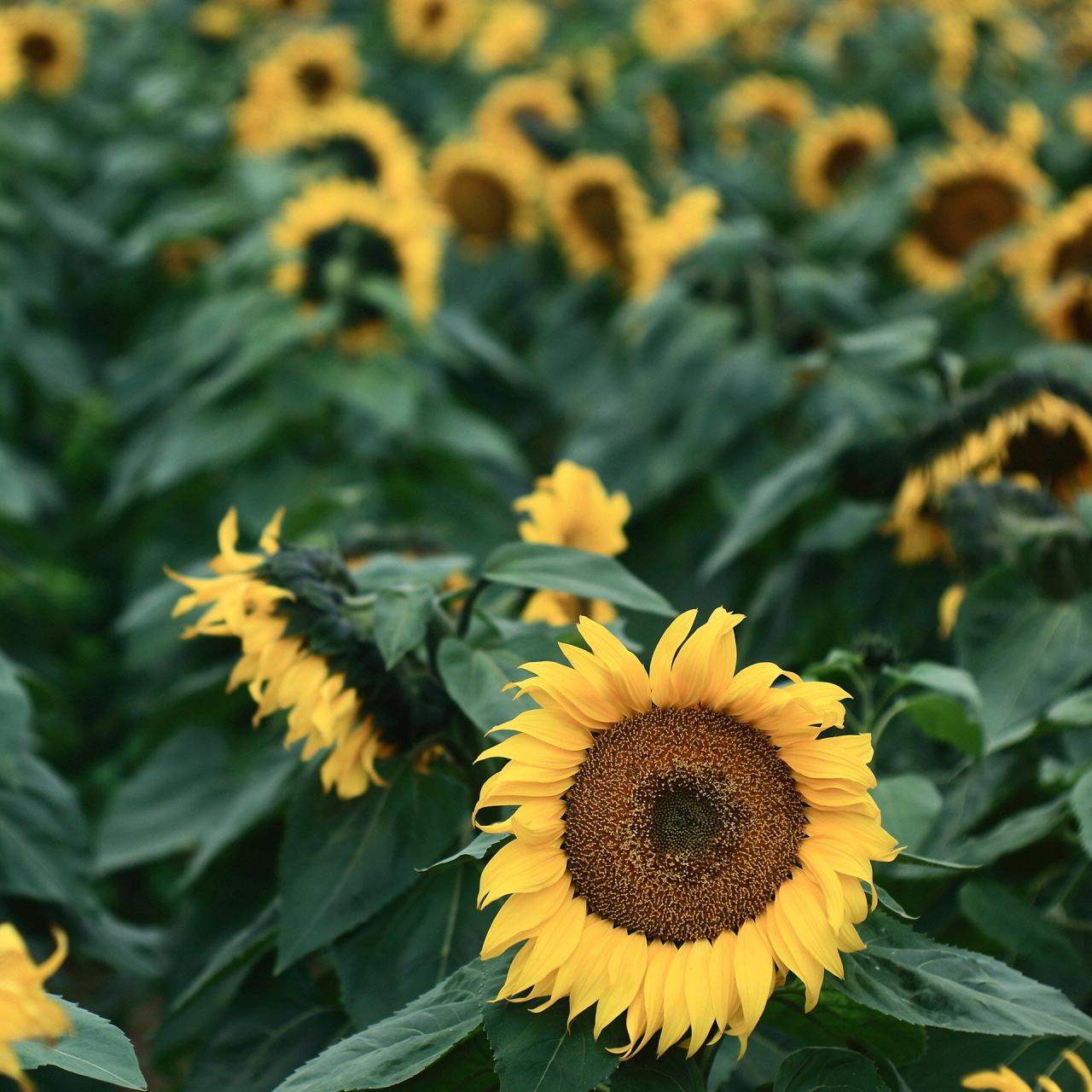 微信相册封面图片大全,微信相册封面图是什么