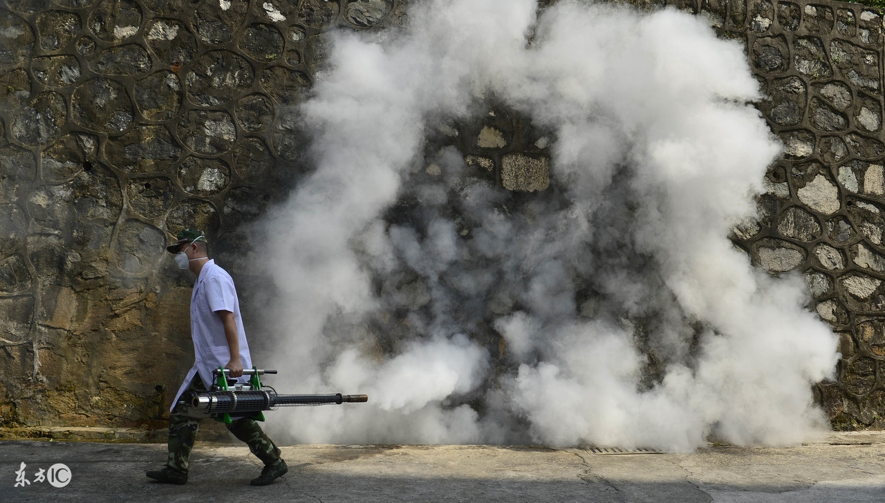 登革热引发恐慌,请收好这份登革热科普知识