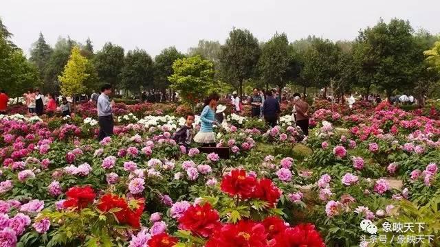 河南二十四节气完整版,二十四节气河南文旅