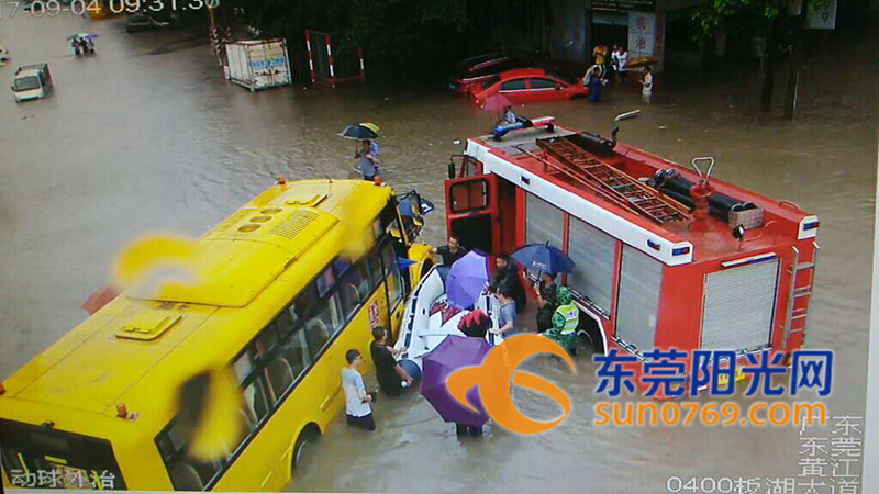 东莞海滩必备泳衣,东莞海边最新消息