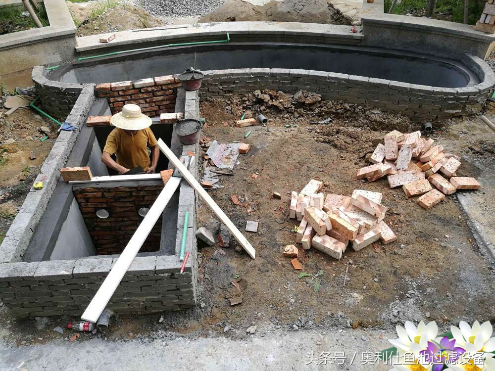 10吨小鱼池的完美养成记