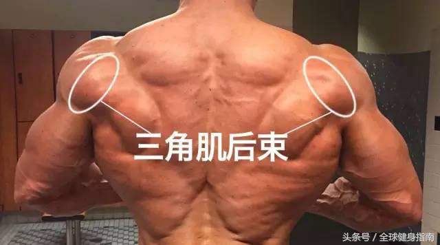 练宽肩最有效的动作,可以把肩练宽的动作