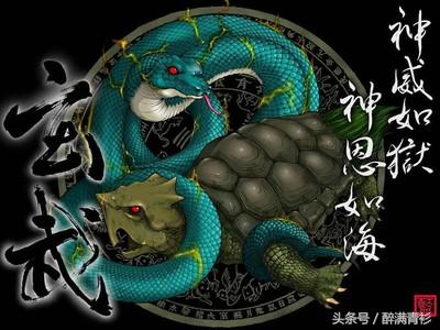 古代神兽大全排名,四象对应方位和神兽