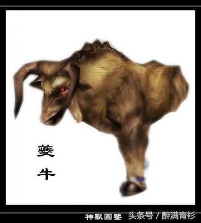 古代神兽大全排名,四象对应方位和神兽