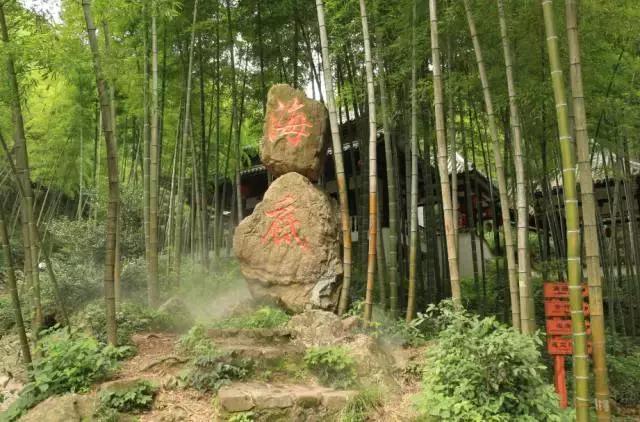 治愈系竹林风景唯美意境,治愈系风景大自然竹林