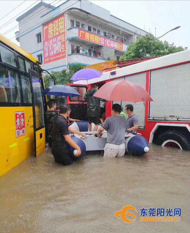 东莞海滩必备泳衣,东莞海边最新消息