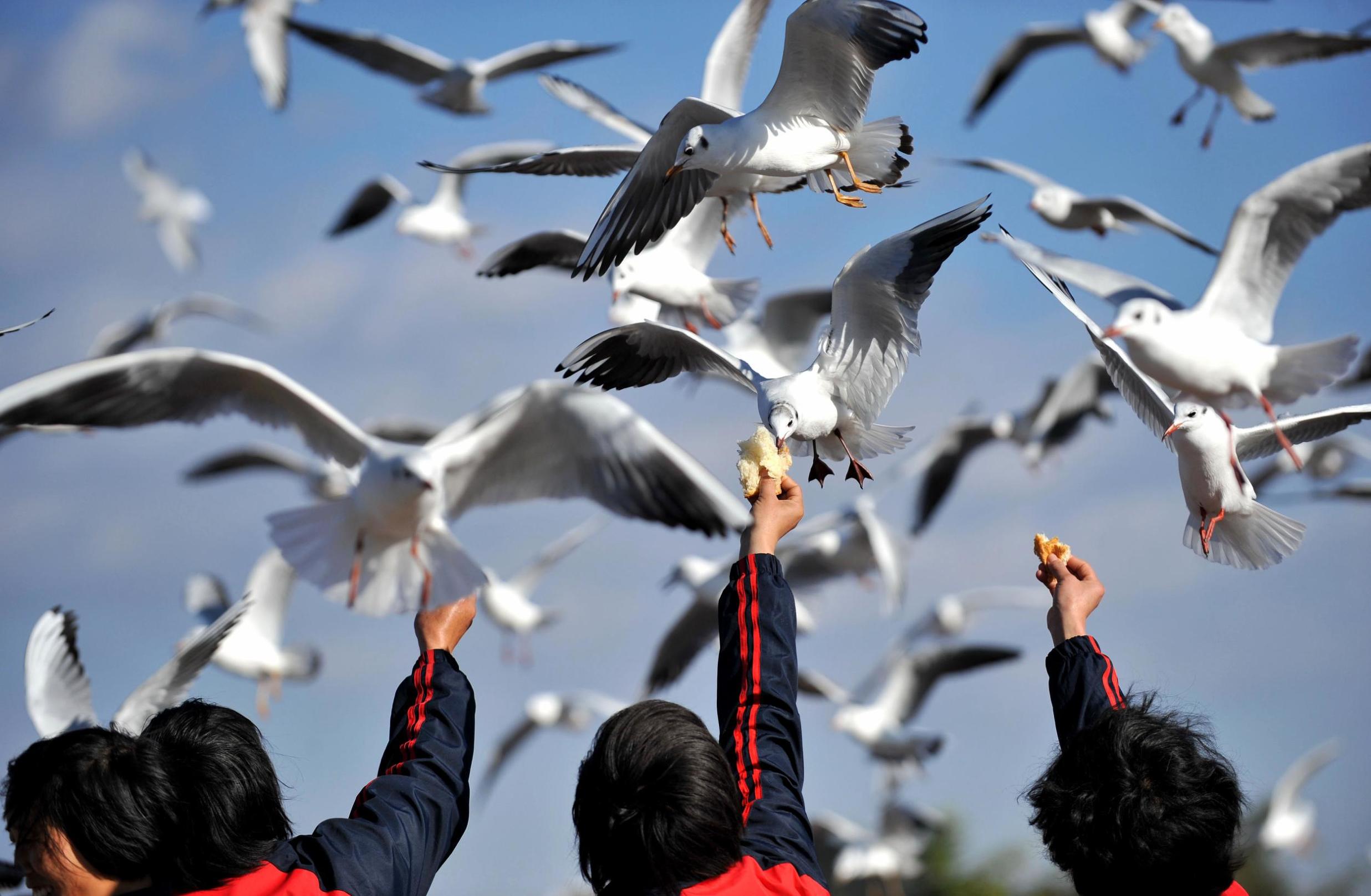 高铁山水wifi,高铁上手机没电看了一路风景