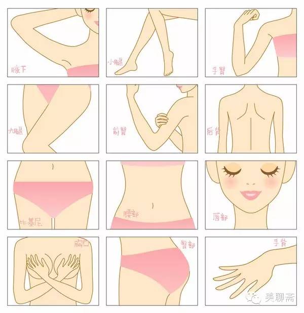 心水|脱毛全书，给来自“猩猩”的你