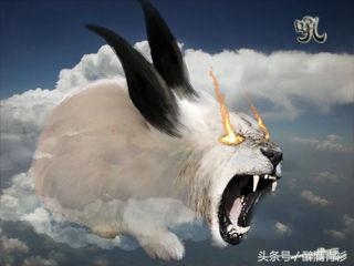 古代神兽大全排名,四象对应方位和神兽