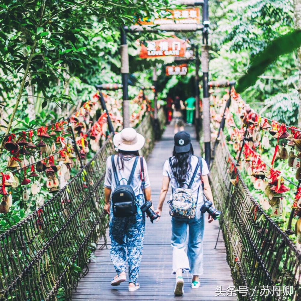 亚马逊热带雨林真实食人花,亚马逊雨林食人花