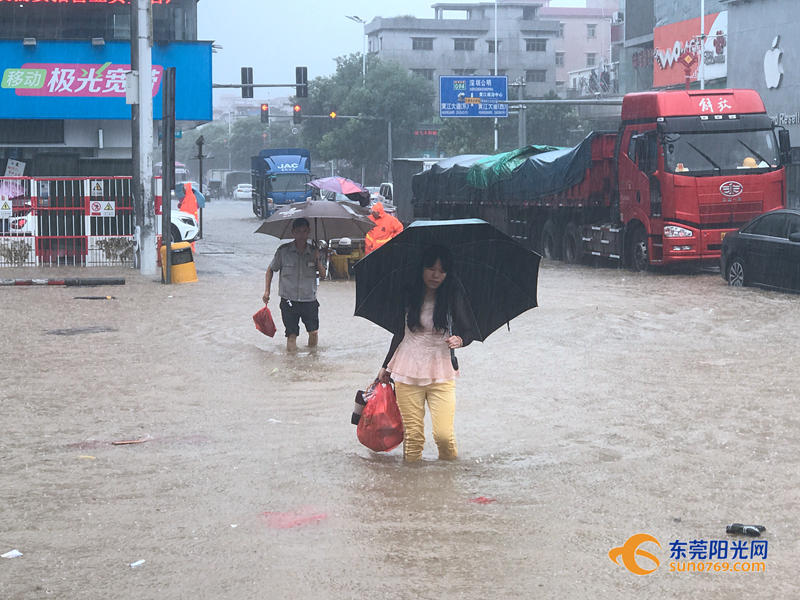 东莞海滩必备泳衣,东莞海边最新消息