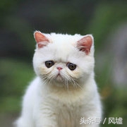 武志红谈坚持,武志红如何不受别人影响