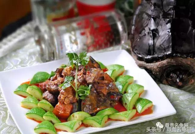 窄桥龟一出来就会咬人,几厘米长的龟会咬人