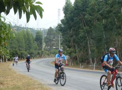 广州鼓浪屿和福建鼓浪屿对比,福建厦门鼓浪屿旅游景点推荐