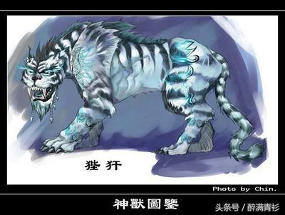 古代神兽大全排名,四象对应方位和神兽