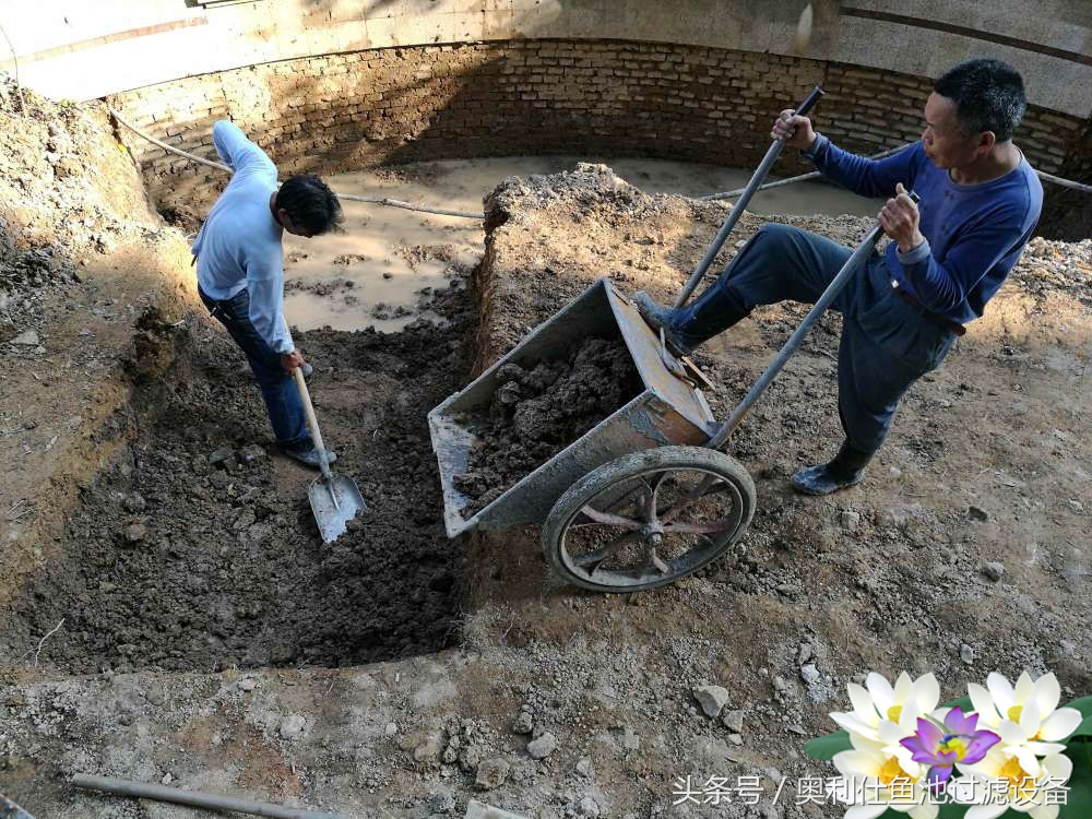 10吨小鱼池的完美养成记