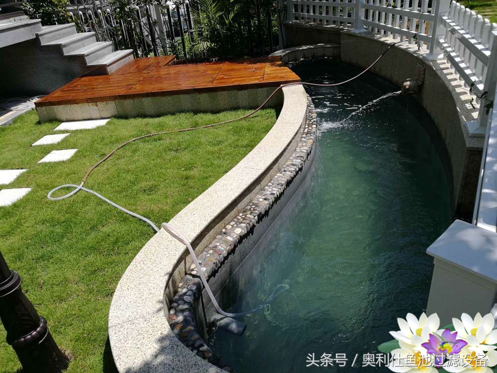 10吨小鱼池的完美养成记