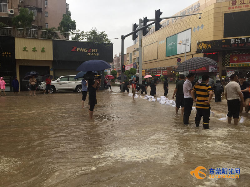 东莞海滩必备泳衣,东莞海边最新消息