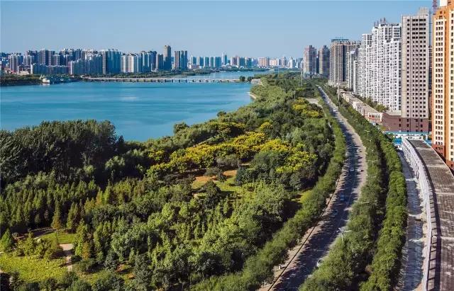 重大发现纯音乐,重大发现歌曲